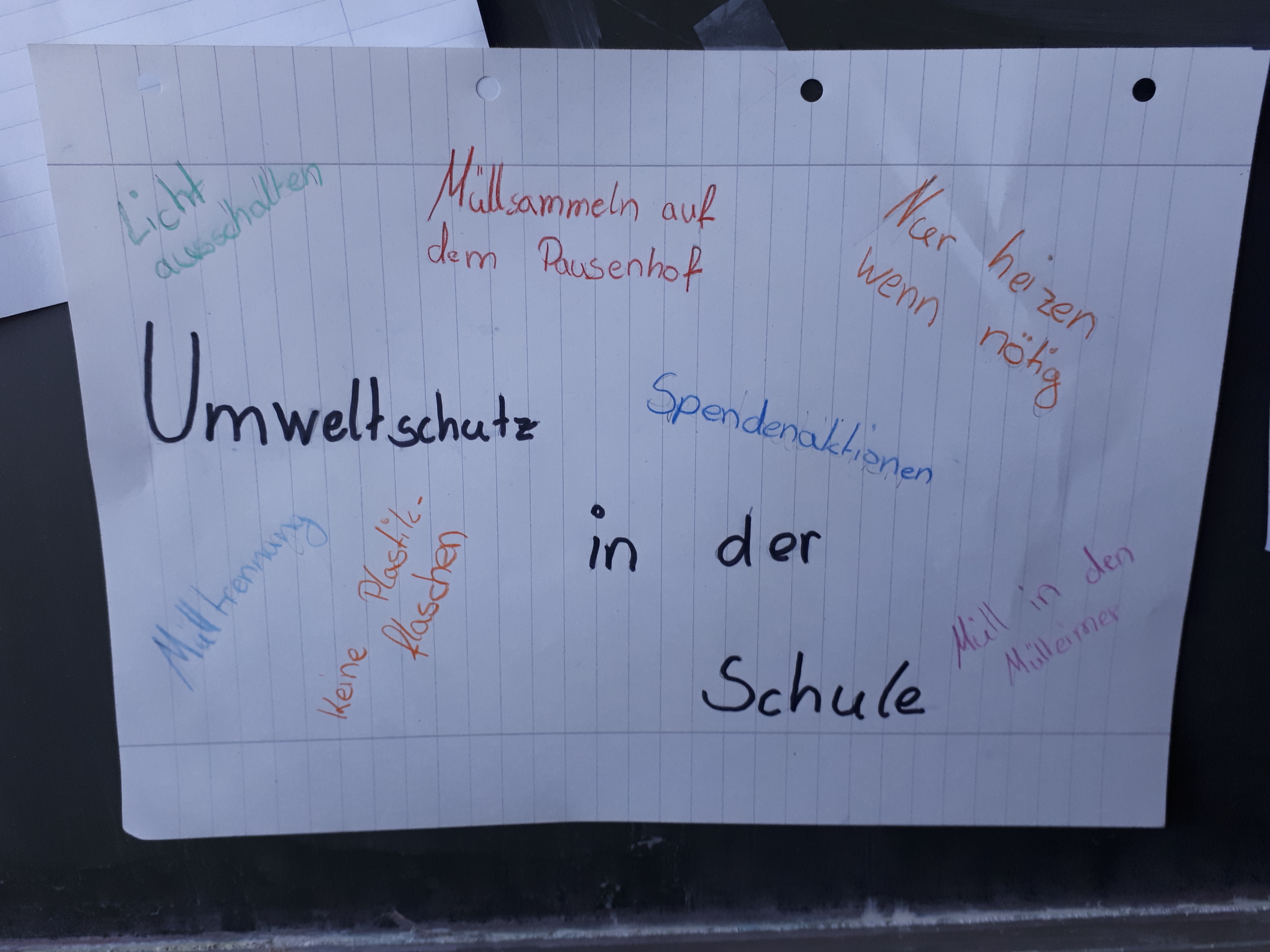 Bild5