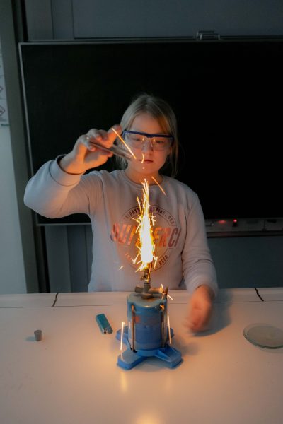 DSC00784